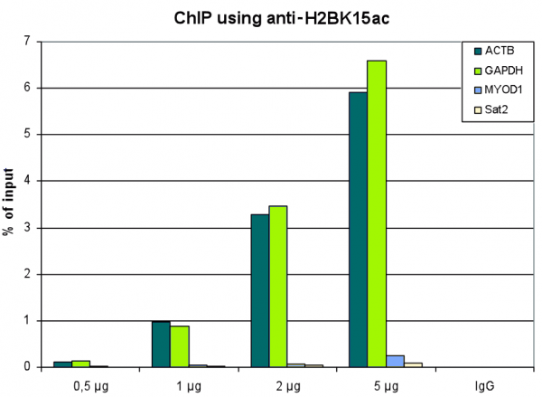 Anti-H2BK15ac