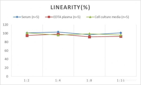 MS Mouse KIM-1 (Kidney Injury Molecule 1) ELISA Kit