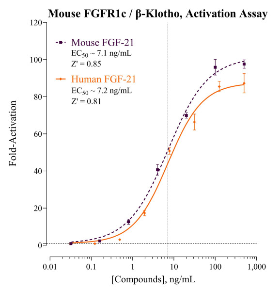 FGFR1c/beta-Klotho Reporter Assay System (mouse)