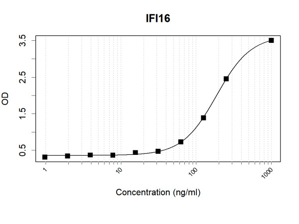 Anti-Human IFI16 Antibody Pair