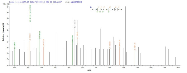 Propionate kinase (tdcD), Escherichia coli O6:H1, recombinant