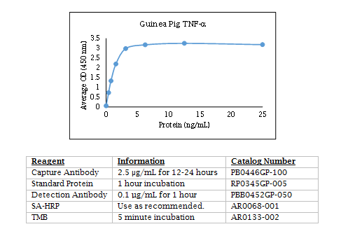 Anti-Tumor Necrosis Factor alpha (TNF-a) (guinea pig)