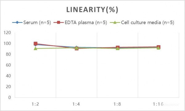 Mouse KIM-1 (Kidney Injury Molecule 1) ELISA Kit