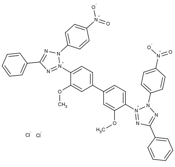 Nitroblue Tetrazolium Chloride (NBT)