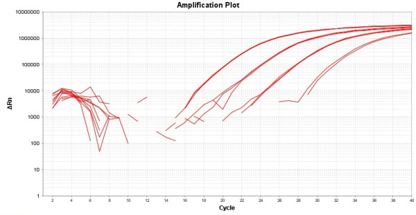 TAQuest(TM) FAST qPCR Master Mix for TaqMan Probes *No ROX*