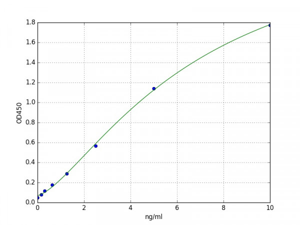 Human GDF6 ELISA Kit