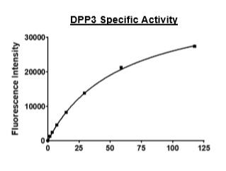 DPP3, active human recombinant protein
