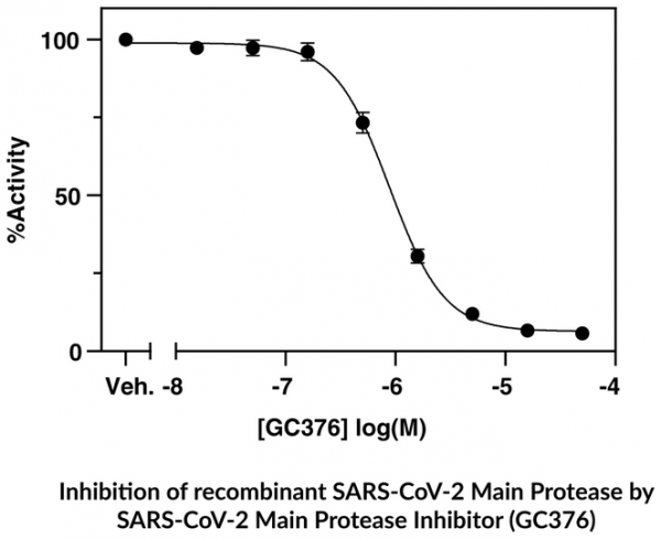 SARS-CoV-2 Main Protease Inhibitor Screening Assay Kit