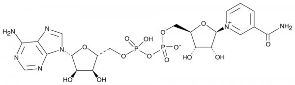NAD+ (free acid)