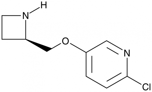 ABT-594 (hydrochloride)
