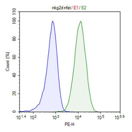 NKG2D/ NFAT Luciferase Reporter Jurkat Cell Line