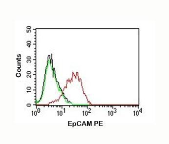 Anti-EpCAM, clone EGP40/837