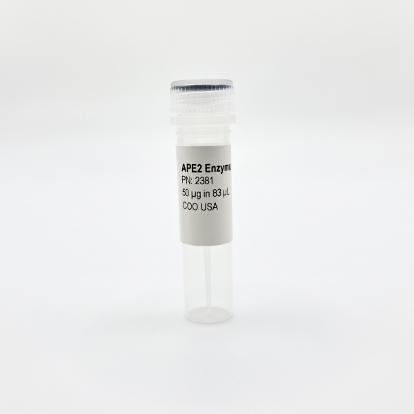Recombinant APE2 Enzyme, Active, Human