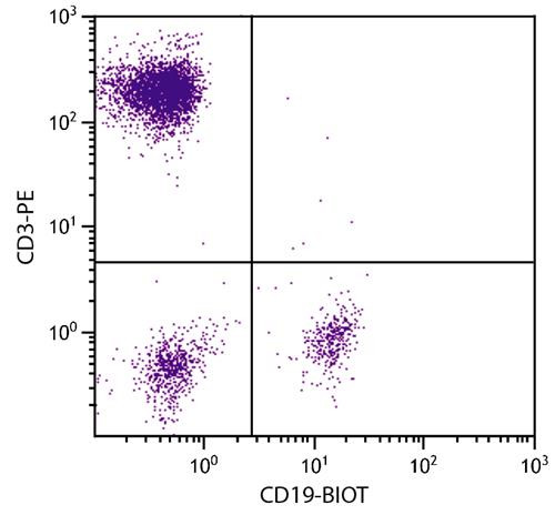 Anti-CD19 (Biotin), clone SJ25-C1