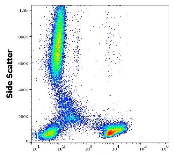 Anti-CD2, clone LT2 (PE)