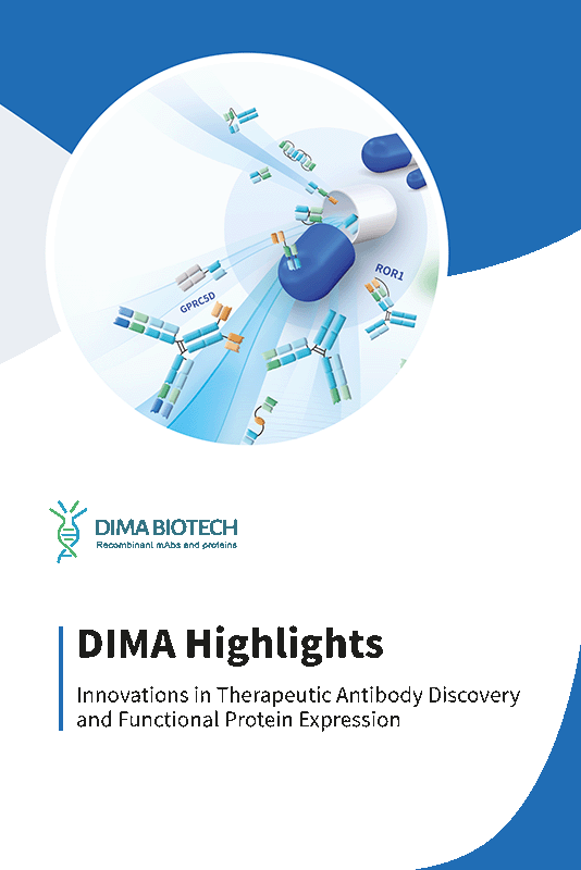 DIMA Highlight Products