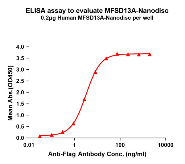MFSD13A (human) full length protein-synthetic nanodisc