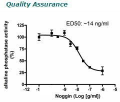 Noggin, active human recombinant protein