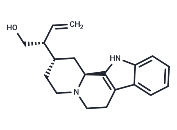 Antirhine