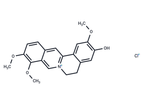Jatrorrhizine chloride