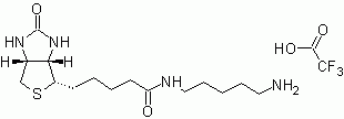 Biotin cadaverine