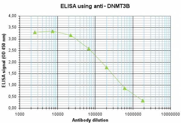 Anti-DNMT3B