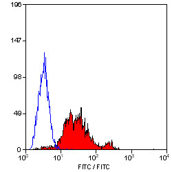 Anti-CD29 / Integrin beta 1 (FITC), clone 4B7R