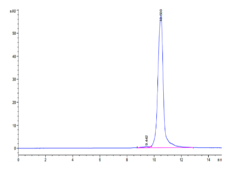 LILRB4/CD85k/ILT3 Domain 1, His &amp; Avi, Human