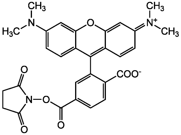 6-TAMRA N-succinimidyl ester