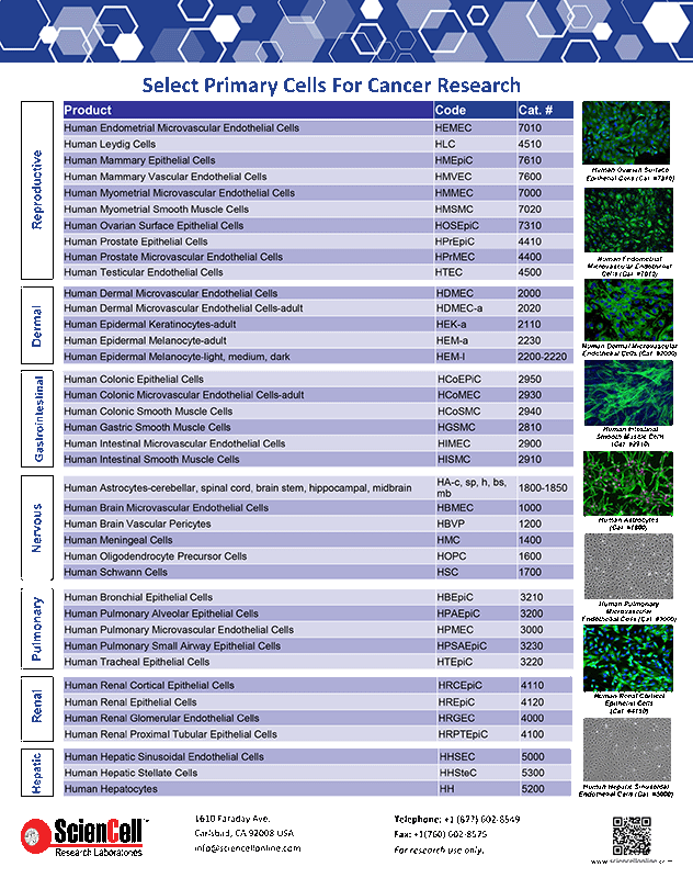 Primary Cells for Cancer Research