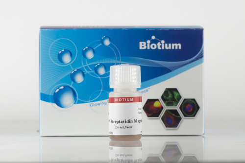 ExoBrite(TM) Streptavidin Magnetic Beads