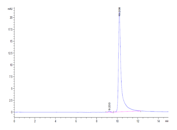 Human CCL7/MCP3 Protein