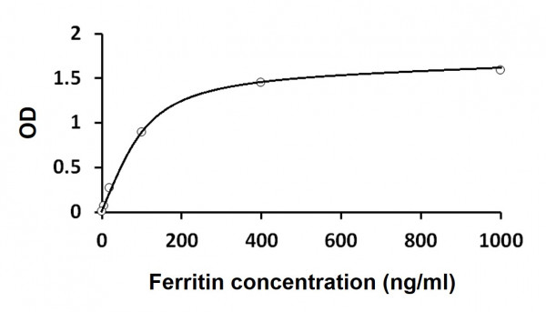 Human Ferritin ELISA Kit