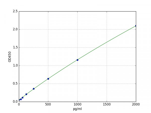 Porcine IFN gamma ELISA Kit