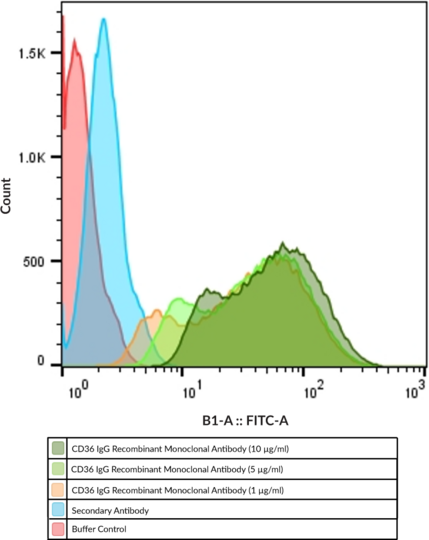 Anti-Scavenger Receptor B2/CD36 IgG