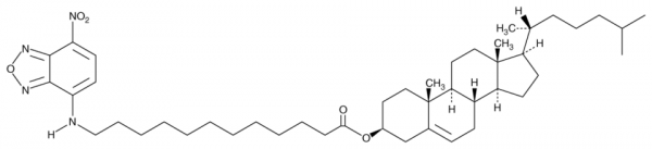 3-dodecanoyl-NBD Cholesterol
