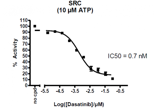 SRC Assay Kit