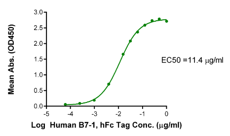 CTLA-4/CD152, His, Human