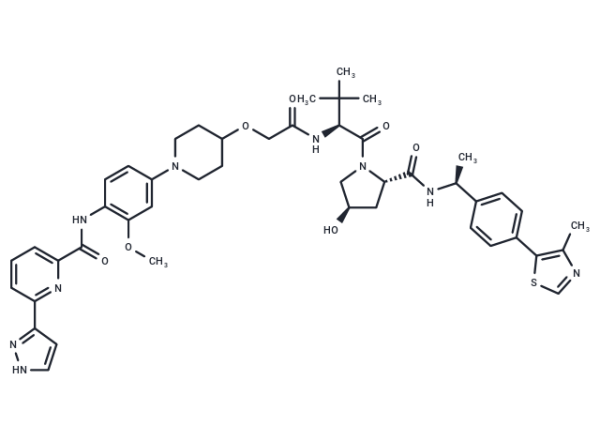 JNJ-1013