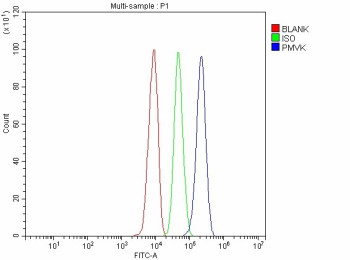 Anti-PMVK / Phosphomevalonate kinase