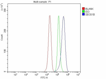 Anti-SEC61B / Sec61 subunit beta