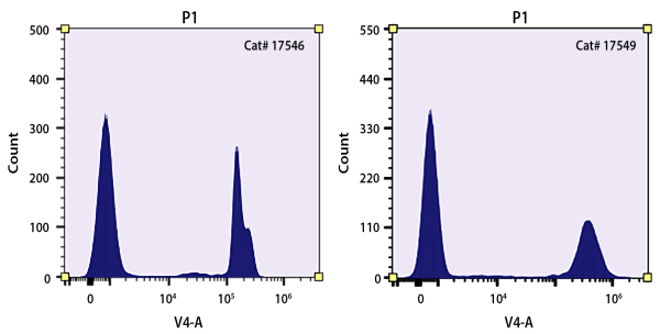 Nuclear Blue(TM) DCS2 *Equivalent to SYTOX(TM) Blue Dead Cell Stain*
