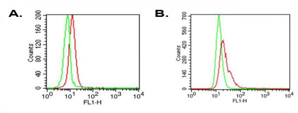 Anti-TLR6 (human), clone ABM1B50 (FITC)