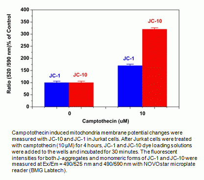 Cell Meter(TM) JC-10 Mitochondrial Membrane Potential Assay Kit