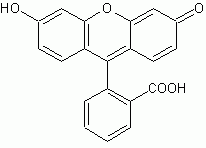 Fluorescein *Fluorescence reference standard*