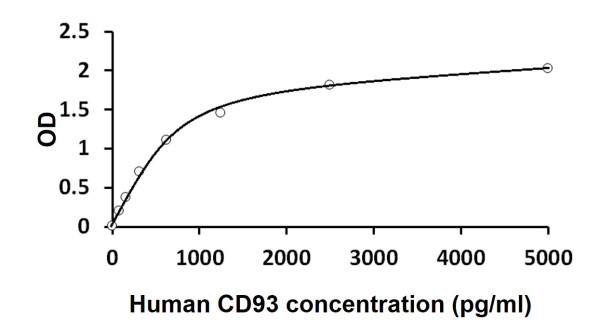 Human CD93 ELISA Kit