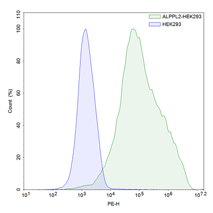 FluoSite Anti-ALPPL2 Antibody, PE-Labeled