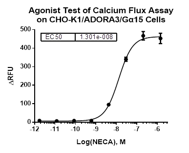 CHO-K1/ADORA3/Galpha15 Stable Cell Line