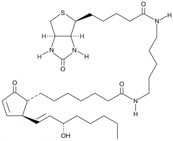 Prostaglandin A1-biotin