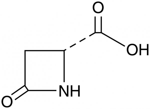 D-Pyroaspartic Acid